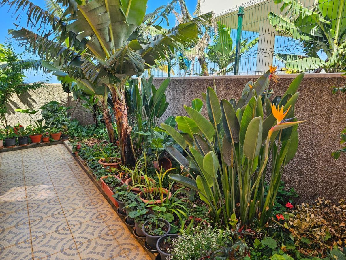 Casa De Feria Do Livramento Villa Funchal  Bagian luar foto